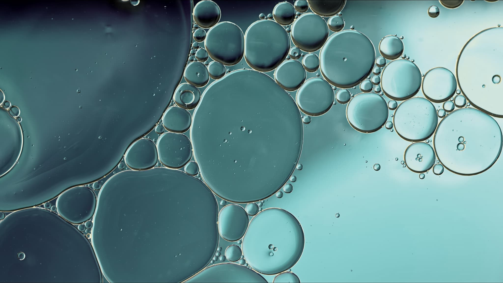 Water Treatment & Wastewater Systems